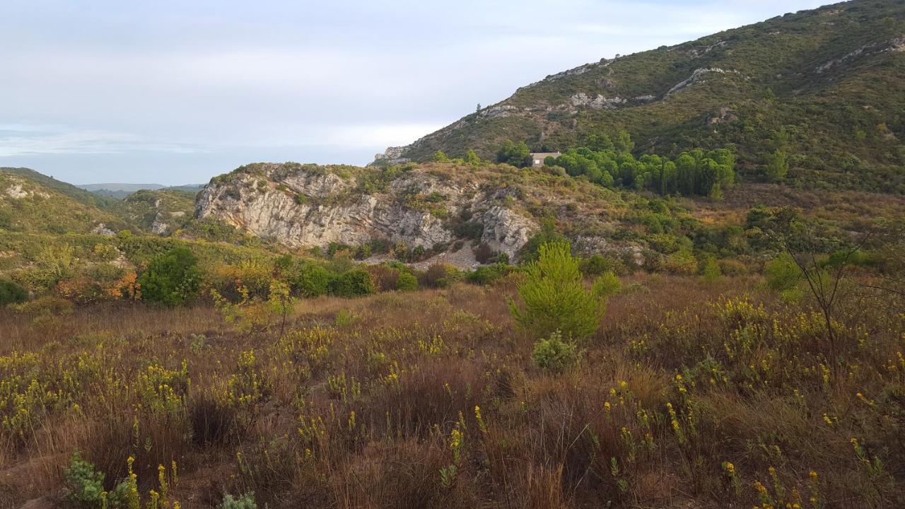 La Loubiere, Ancienne Bergerie En Pleine Garrigue Bed & Breakfast Fraissé-des-Corbières Dış mekan fotoğraf