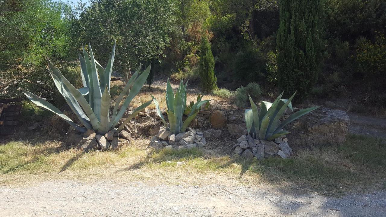 La Loubiere, Ancienne Bergerie En Pleine Garrigue Bed & Breakfast Fraissé-des-Corbières Dış mekan fotoğraf